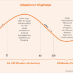 Biorhythmus und Ultradiane Rhythmik berechnen